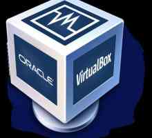 Virtualbox: настройка сети, Windows XP, Windows 7. Virtualbox Ubuntu: настройка сети