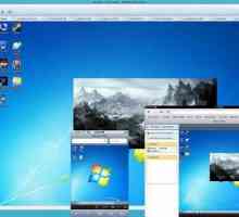 Virtualizacija fizičkog stroja VMware Workstation 10: Prilagodba