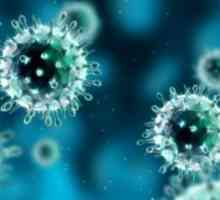 H1N1 virus: simptomi, liječenje i prevencija