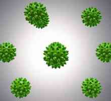 Virus bolesti: simptomi, prijenosni putovi, liječenje i prevencija