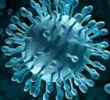 Coxsackie virus u Anapi: značajke manifestacije, simptomi i liječenje