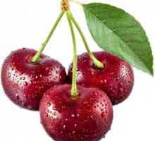 Cherry Pouring: Recept za kuhanje kod kuće