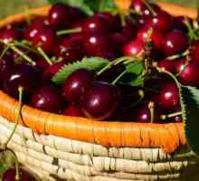 Cherry Brusnitsina: opis sorte, sadnja i njegu