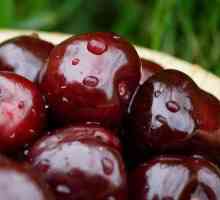 Cherkokorka Cherry: Značajke sorte