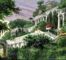 Vezani Gardens of Semiramis: opis i povijest