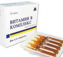Vitamin B9 (folna kiselina) za rast kose u otopini. Koja hrana ima vitamin B9?
