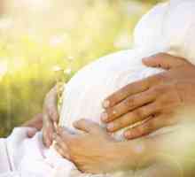 Vitamini `Elevit `: upute za uporabu u trudnoći, sastav, recenzije