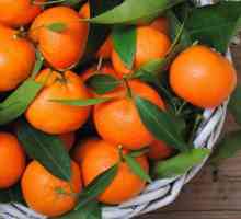 Vitamini u mandarinima: popis, korisna svojstva, nutritivna vrijednost i kontraindikacije