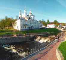 Vitebsk, stanovništvo: nacionalni sastav i veličina