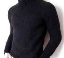 Raglan pletenje: muški vuneni pulover