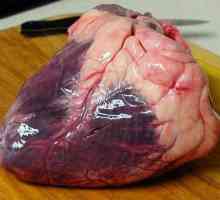 Delicious beef heart: recept u multivarijatu