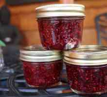 Ukusni domaći kobasice: berry-viburnum, recept za kuhanje za sve prigode