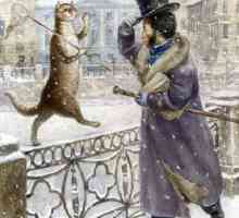 Vladimir Rumyantsev i njegove slavne `St. Petersburg cats`