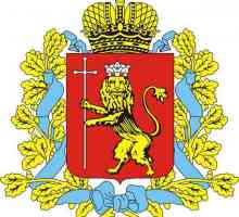 Regija Vladimira. Grb, zastava i simboli pojedinih gradova