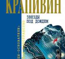 Vladislav Krapivin, `Zvijezde u kiši` - sažetak i analiza rada