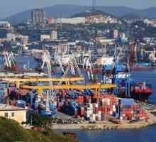Vladivostok Commercial Sea Port i njegove aktivnosti