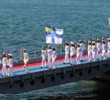 Mornarica Ukrajine. Mornarica Ukrajine: sastav. Flota Crnog mora flote mornarice Ukrajine