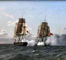 Mornarica Velike Britanije: opis, popis i zanimljive činjenice