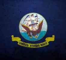 US Navy: organizacija i sastav. Ruska i američka mornarica: usporedba
