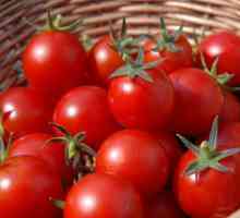 U snu sam vidio rajčicu. Koji je san crvene ženske rajčice?