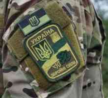 Vojni redovi Ukrajine: jučer, danas, sutra