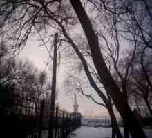Voronezh: klima, resursi, ekologija