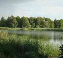 Voronezsko područje: jezera za odmor i ribolov