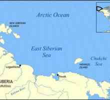 Istočno sibirsko more. Dubina, otoci, resursi i problemi Istočnog sibirskog mora