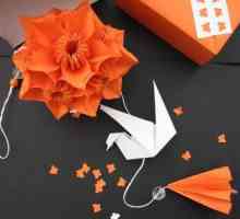 Zrak origami kusudama-leptir vlastite ruke