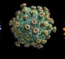 HPV od onkogenih tipova: osnovni znakovi, dijagnostika, metode liječenja, opasnost i prevencija
