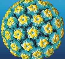 HPV kod žena: opasne posljedice najčešćih virusa