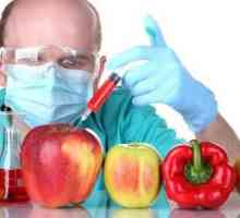 Jesu li proizvodi GMO-a štetni?