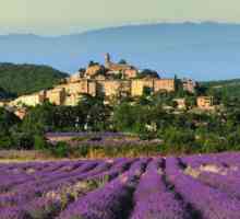 Sve o Provence: glavni grad, gradovi, povijest, znamenitosti, praznici