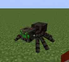 Все о том, как приручить паука в `Майнкрафт`