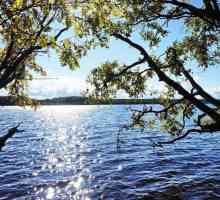 Sve o jezeru Goloredayskoye (Leningradska regija): odaberite mjesto za ribolov i rekreaciju