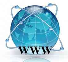World Wide Web. Povijest imena i način na koji su SAD stvorili Internet
