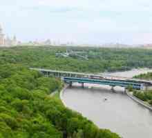 Sve što trebate znati o obilasku Moskovske rijeke