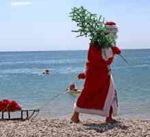Upoznajte Novu godinu na Cipru: vrijeme, recenzije turista