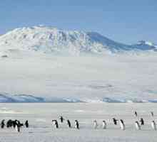 Vulkani Antarktika - neotkrivene tajne
