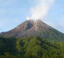 Vulkani na svijetu: brdo Merapi, Koryak, Sakurajima, Colima, Mauna Loa, Nyiragongo, Mount Rainier,…