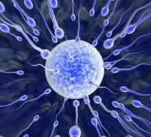 Znate li koliko živih spermija?