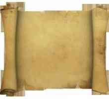 Выделанная кожа для древних книг: название