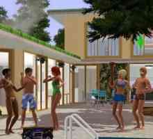 "The Sims 3" leti - što učiniti? Zašto `Syms 3` leti?