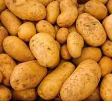 Uzgoj krumpira: metode, tehnologije i uvjeti