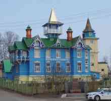 Vyritsa (Leningradska regija) - prekrasno turističko mjesto