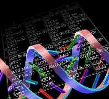 Degeneracija genetskog koda: opće informacije