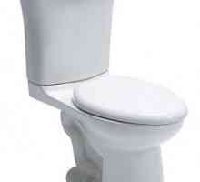 Visina WC posude: standardna. WC školjka za osobe s invaliditetom. Dimenzije WC školjke