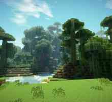Preživljavanje u Forest Minecraft: Savjeti za početnike