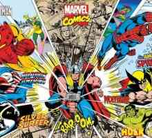 Eksplozivni svemir `Marvel`: Stan Lee i njegovi superheroji