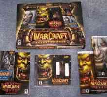 WarCraft 3: Trikovi za igru